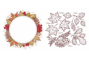Autumn Leaves Set Graphics and Illustrations