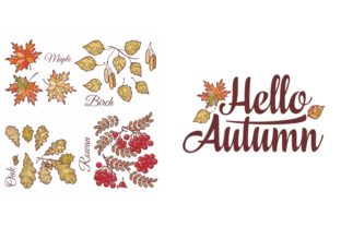 Hello Autumn. Autumn Leaves Set Graphics